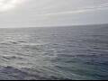 Webcam AIDAsol: View from the Starboard Side