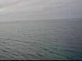 Webcam AIDAsol
