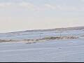 Webcam AIDAmar