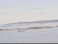 Webcam AIDAmar