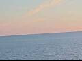 Webcam AIDAmar