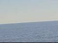 Webcam AIDAmar