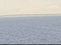 Webcam AIDAmar