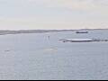 Webcam AIDAmar