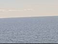 Webcam AIDAmar