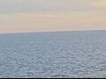 Webcam AIDAmar
