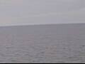 Webcam AIDAmar