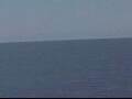Webcam AIDAmar