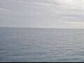 Webcam AIDAstella