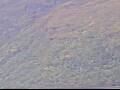 Webcam AIDAprima