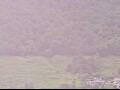 Webcam AIDAprima