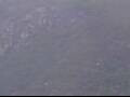 Webcam AIDAprima