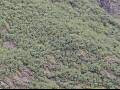 Webcam AIDAprima