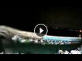 Webcam Castro Marina