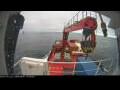 Webcam Minik Arctica