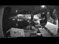 Webcam Minik Arctica