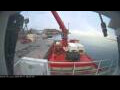 Webcam Minik Arctica