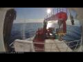 Webcam Minik Arctica