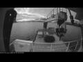 Webcam Minik Arctica