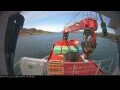 Webcam Minik Arctica