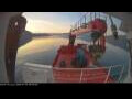 Webcam Minik Arctica