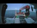 Webcam Minik Arctica