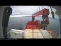 Webcam Minik Arctica