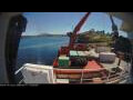 Webcam Minik Arctica