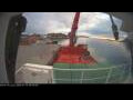 Webcam Minik Arctica