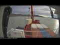 Webcam Minik Arctica