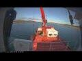 Webcam Minik Arctica