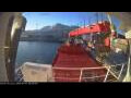 Webcam Minik Arctica