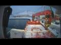 Webcam Minik Arctica