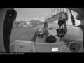 Webcam Minik Arctica