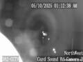 Webcam Homestead, Florida