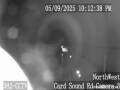Webcam Homestead, Florida