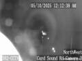 Webcam Homestead, Florida
