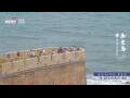 Webcam Wuzhen