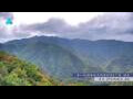 Webcam Zhangjiajie