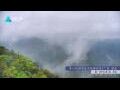 Webcam Zhangjiajie