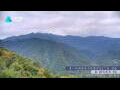 Webcam Zhangjiajie
