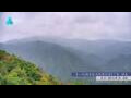 Webcam Zhangjiajie