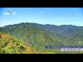 Webcam Zhangjiajie