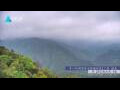 Webcam Zhangjiajie
