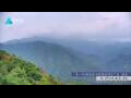 Webcam Zhangjiajie
