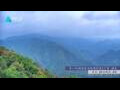 Webcam Zhangjiajie