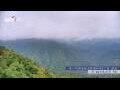 Webcam Zhangjiajie