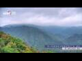 Webcam Zhangjiajie