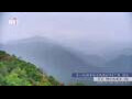 Webcam Zhangjiajie