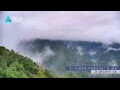 Webcam Zhangjiajie
